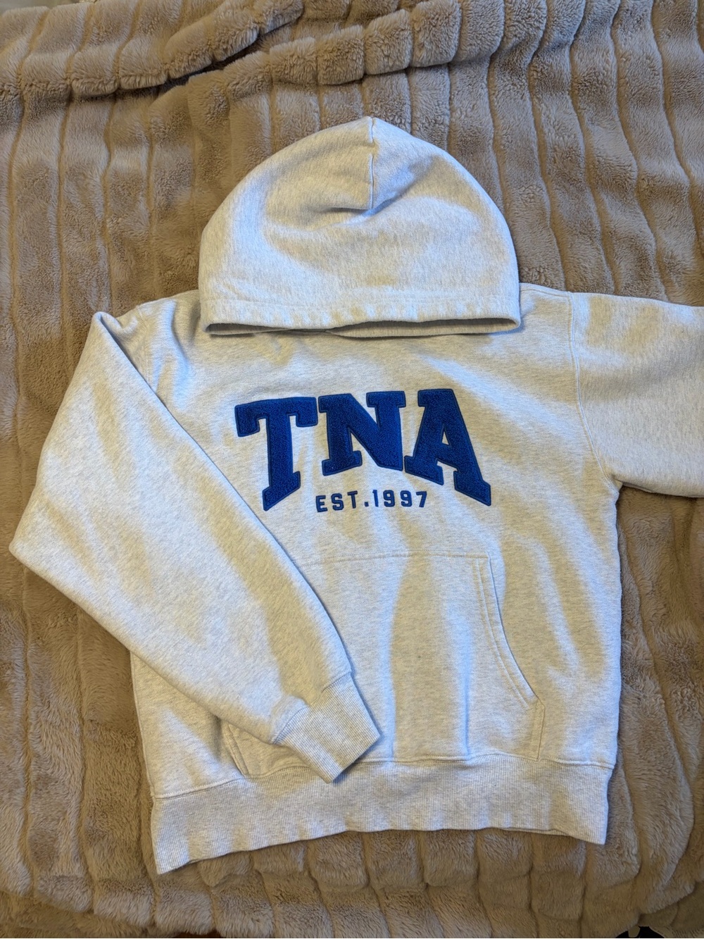 TNA Aritzia Gray Hoodie with Blue Logo